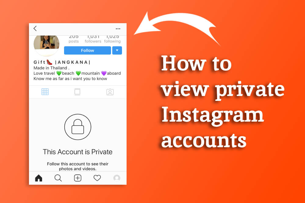 instagram private account viewer app